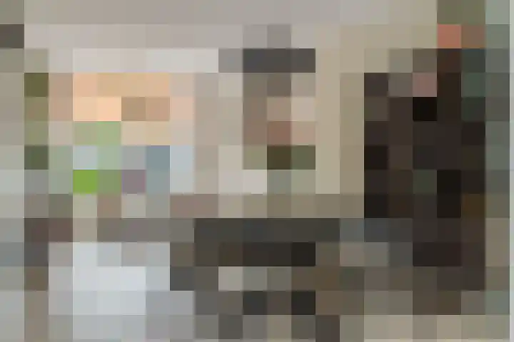 Tasmanstraat 88 Leiden thumbnail 11