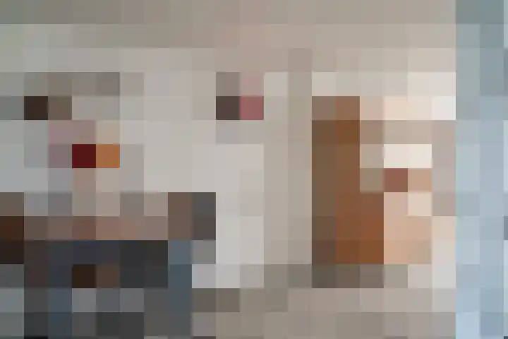 Tasveld 1 Tolkamer thumbnail 13