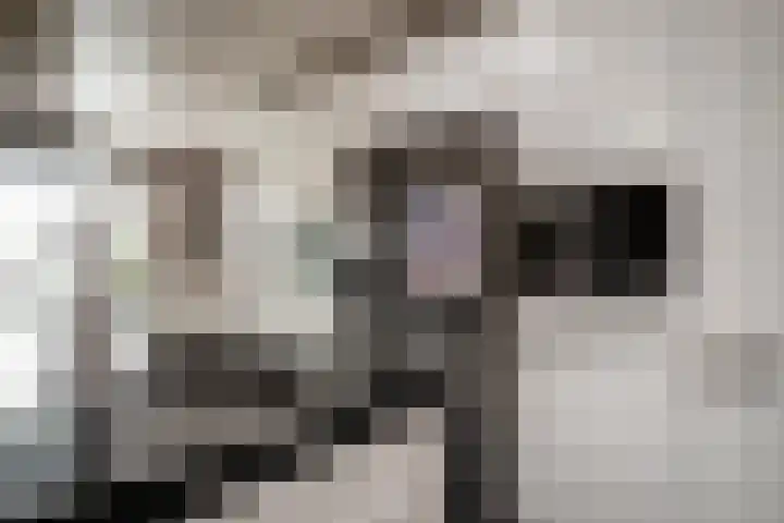 Tasveld 1 Tolkamer thumbnail 21