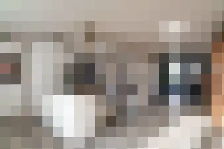Tasveld 1 Tolkamer thumbnail 22