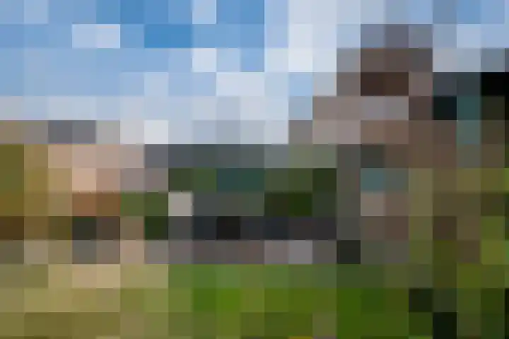 Tasveld 1 Tolkamer thumbnail 46