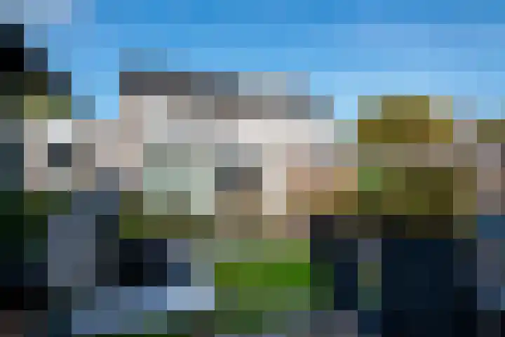 Tasveld 1 Tolkamer thumbnail 49