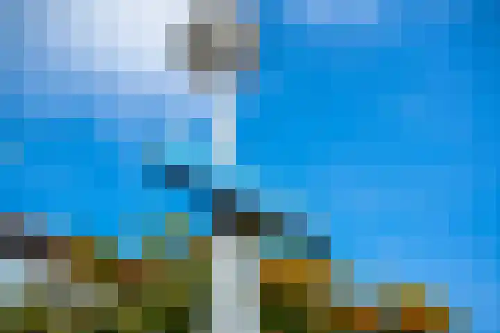 Tasveld 1 Tolkamer thumbnail 5