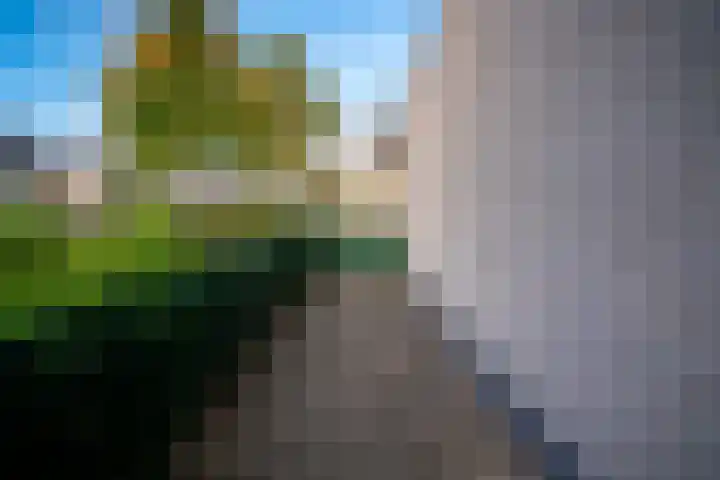 Tasveld 1 Tolkamer thumbnail 53