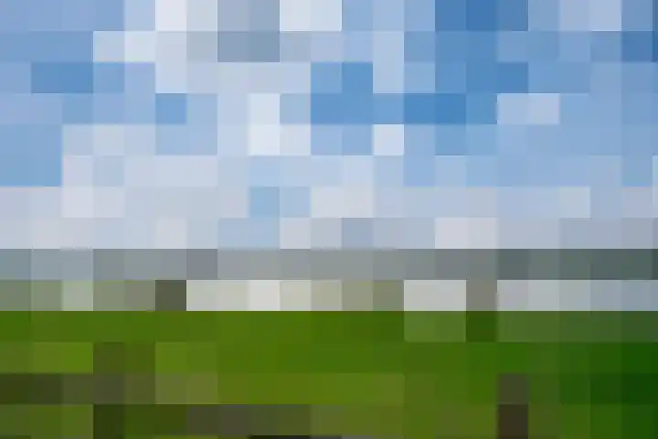 Tasveld 1 Tolkamer thumbnail 55