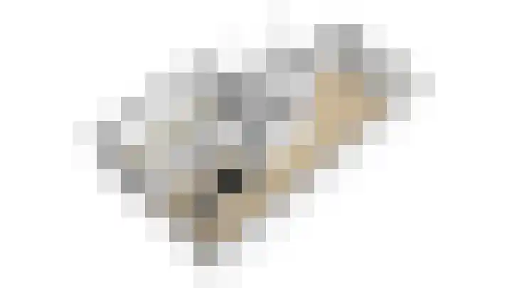 Tasveld 1 Tolkamer thumbnail 60
