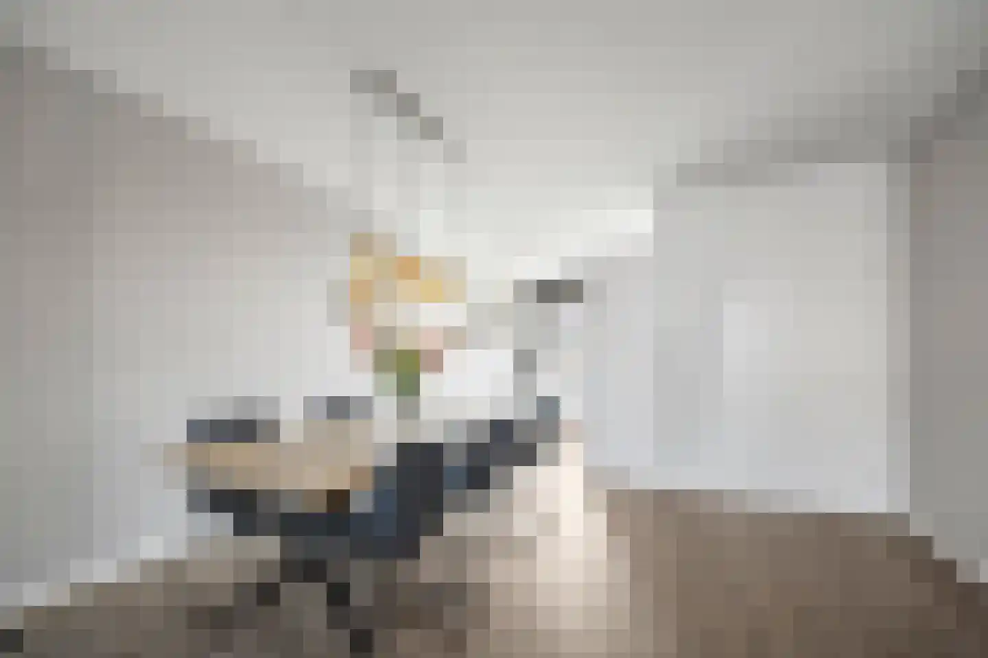 Tasveld 11 Druten thumbnail 11