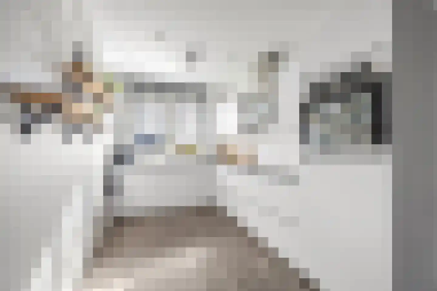 Tasveld 11 Druten thumbnail 13