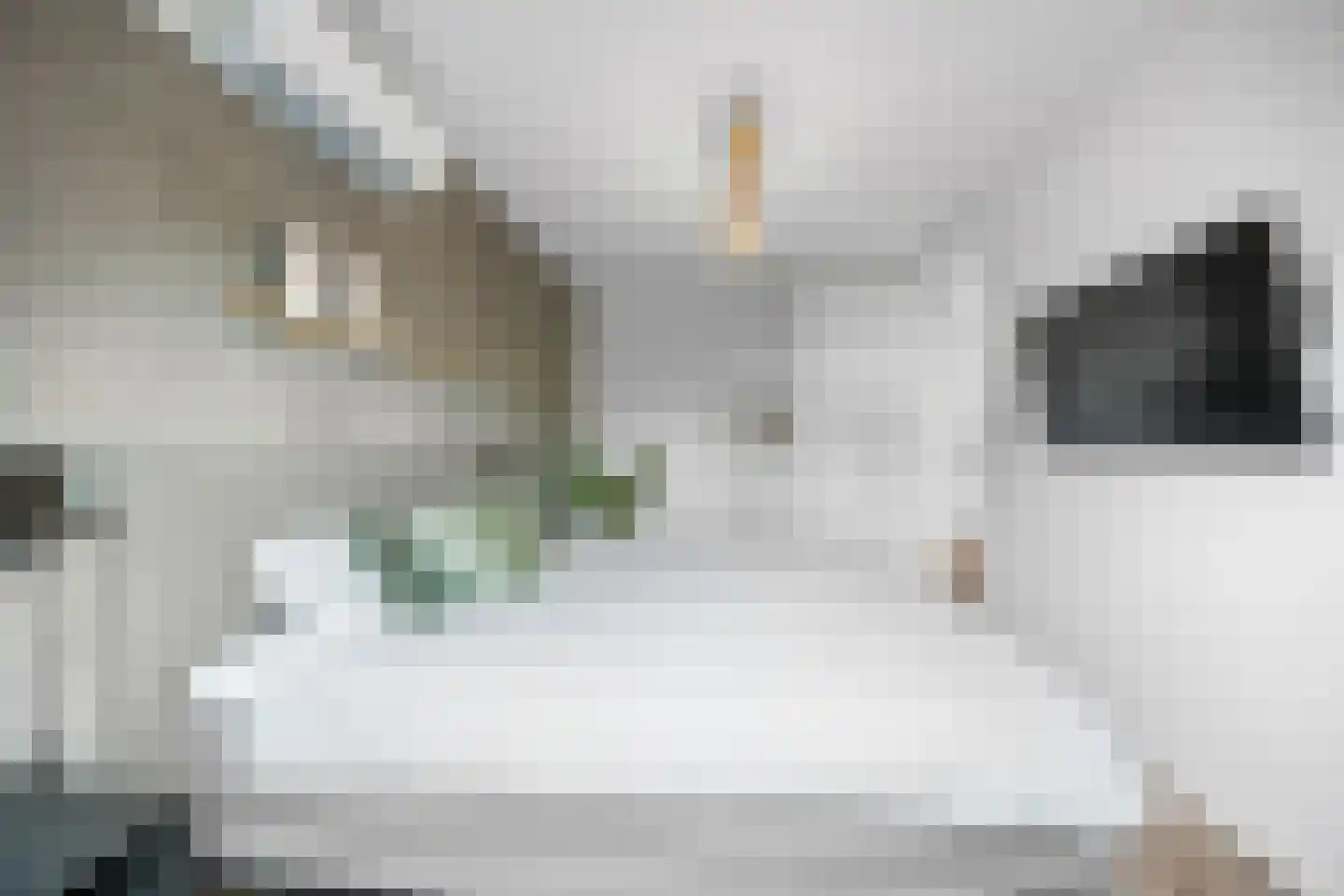 Tasveld 11 Druten thumbnail 22