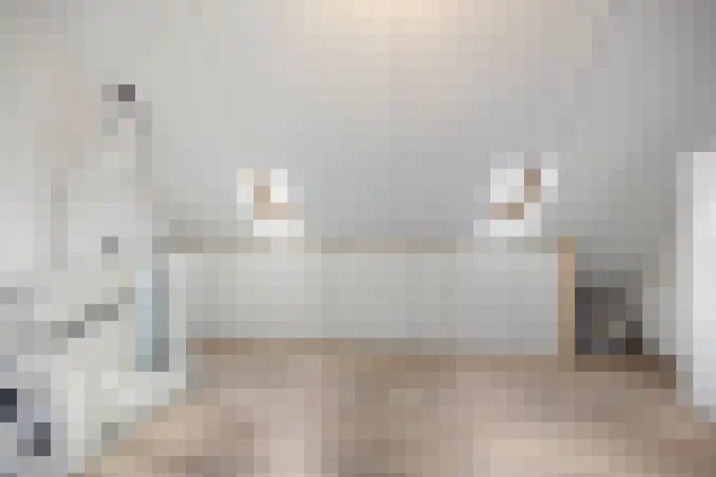 Tasveld 11 Druten thumbnail 31