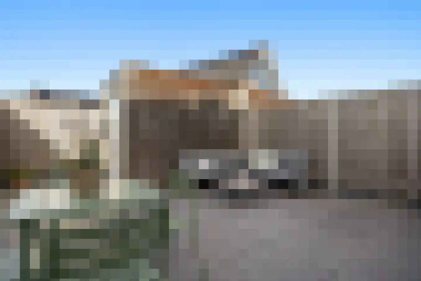 Tasveld 11 Druten thumbnail 37