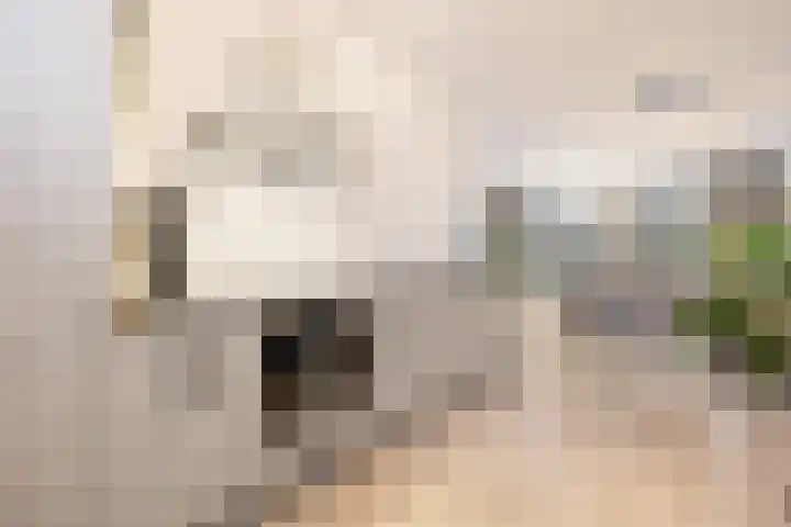 Tasveld 13 Druten thumbnail 16