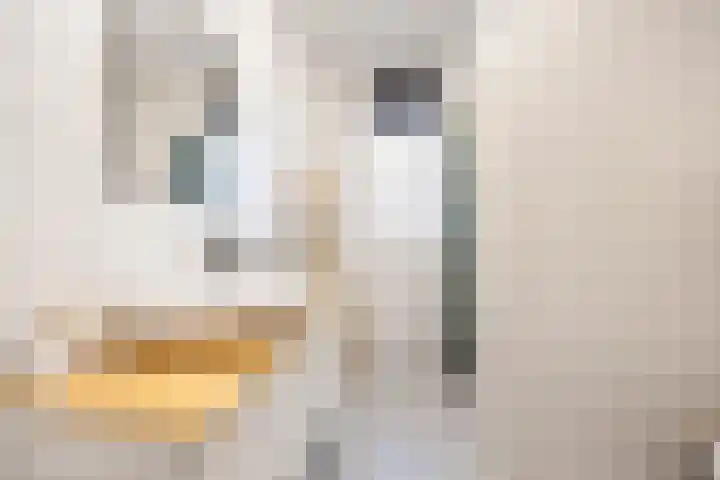Tasveld 13 Druten thumbnail 23