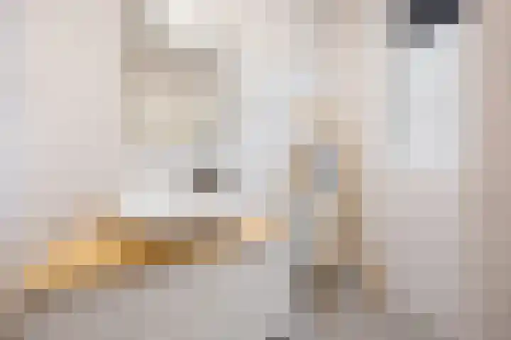 Tasveld 13 Druten thumbnail 24
