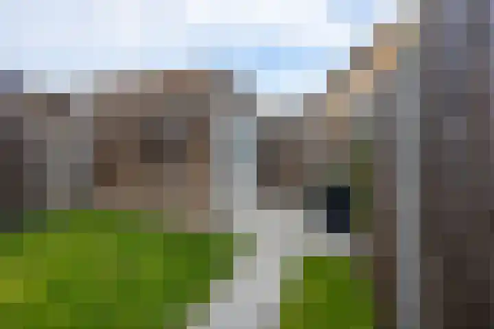 Tasveld 13 Druten thumbnail 36