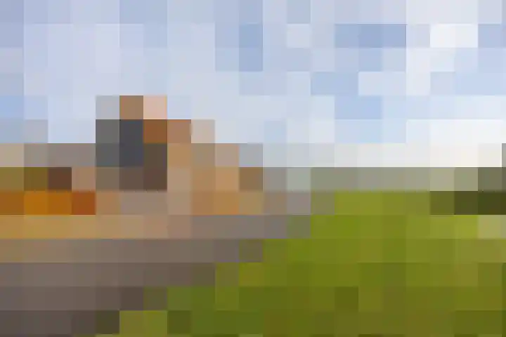 Tasveld 13 Druten thumbnail 43