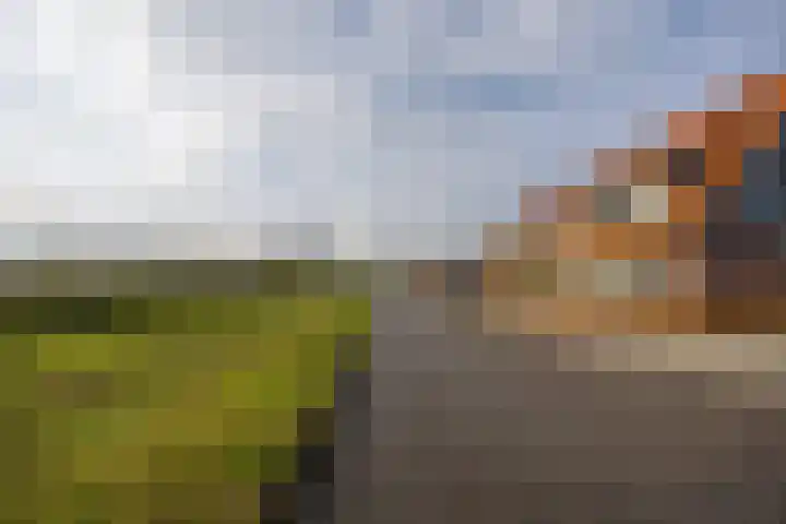 Tasveld 13 Druten thumbnail 44