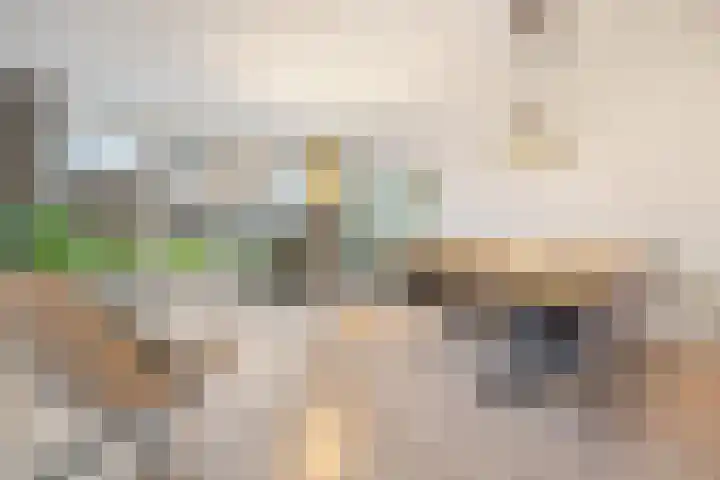 Tasveld 13 Druten thumbnail 8