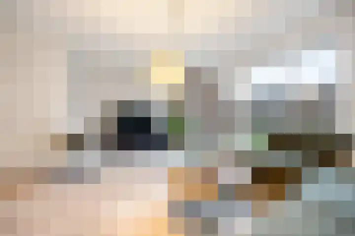 Tasveld 13 Druten thumbnail 9