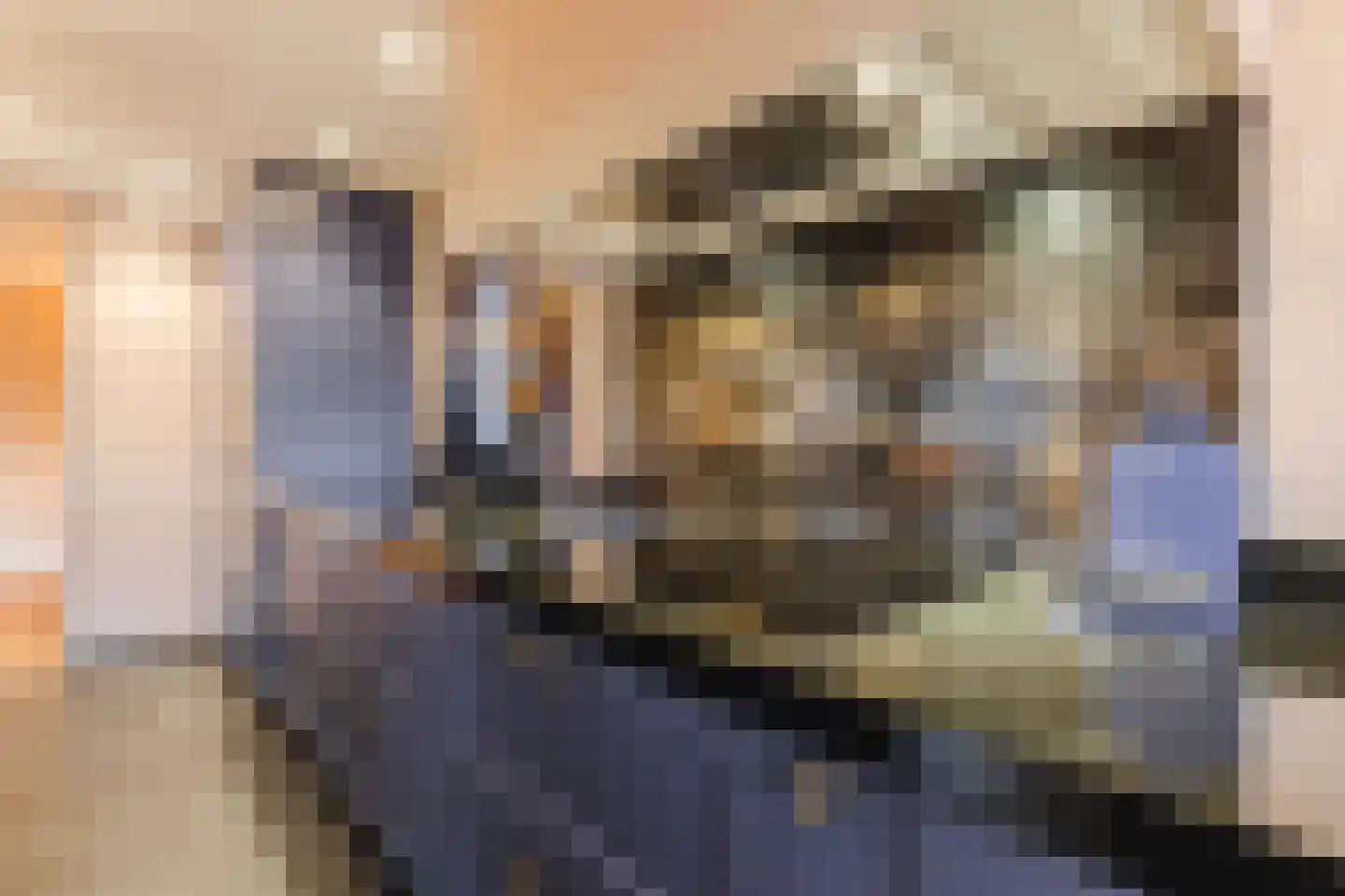 Tasveld 18 Veldhoven thumbnail 30
