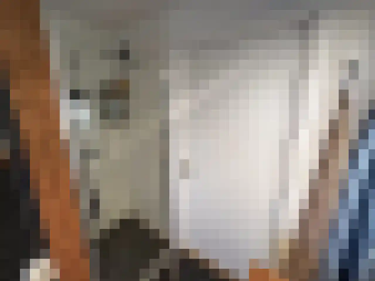 Tasveld 22 Rhenen thumbnail 15