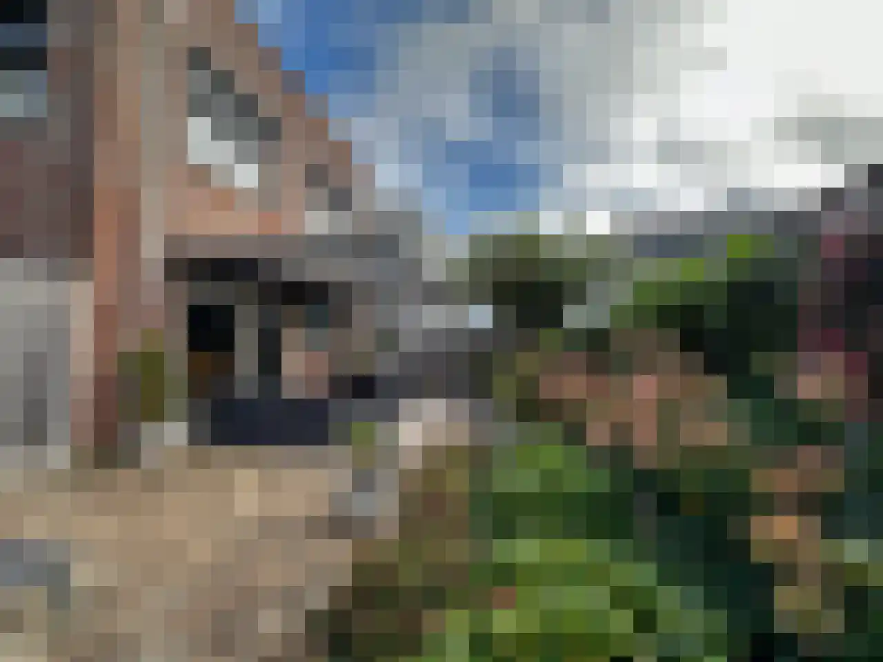 Tasveld 22 Rhenen thumbnail 18