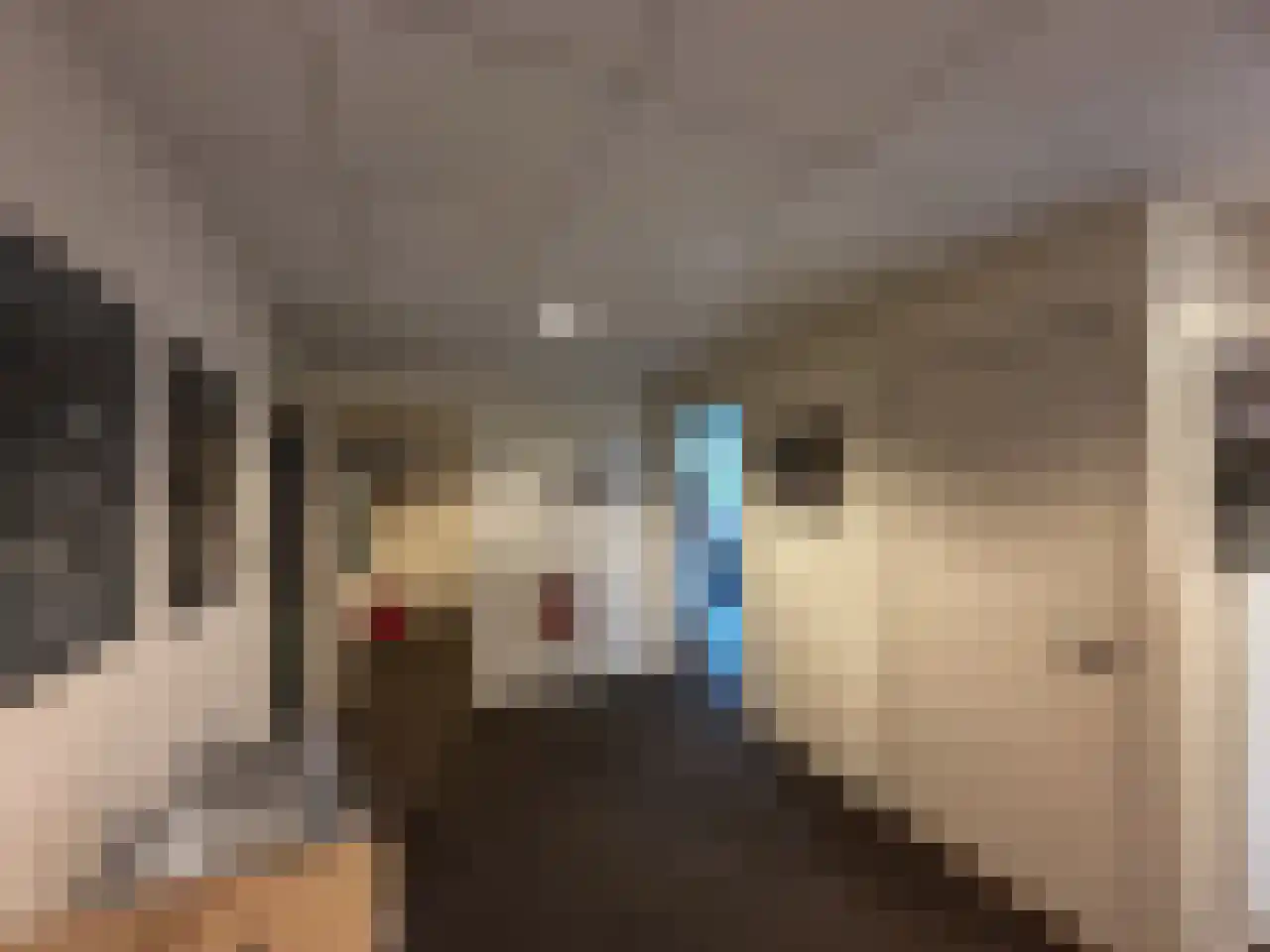 Tasveld 22 Rhenen thumbnail 29