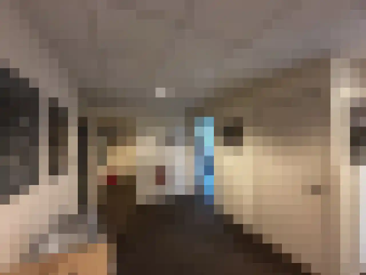 Tasveld 22 Rhenen thumbnail 29