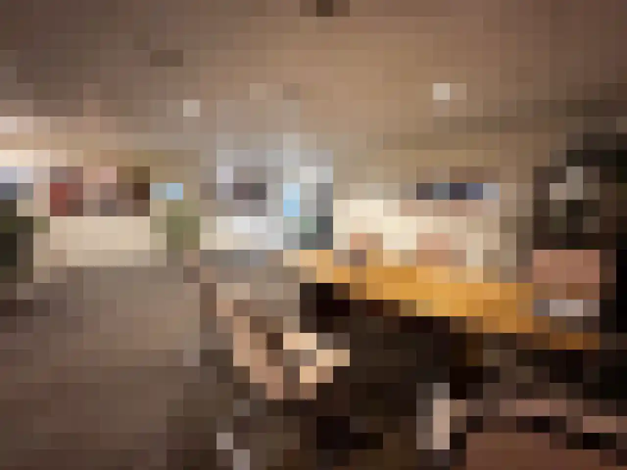 Tasveld 22 Rhenen thumbnail 33