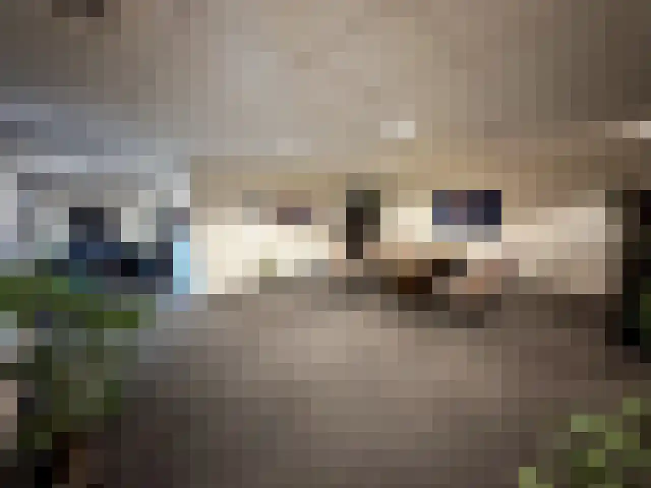 Tasveld 22 Rhenen thumbnail 34
