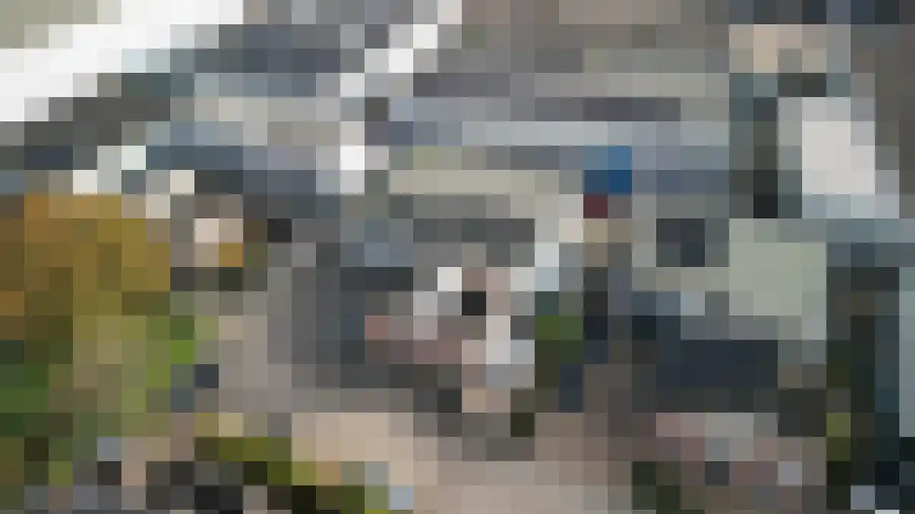 Tasveld 22 Rhenen thumbnail 43