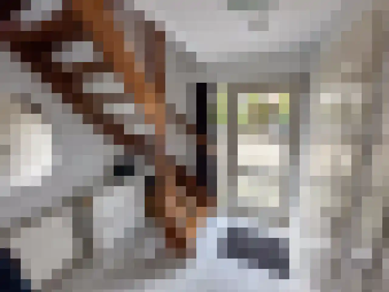 Tasveld 22 Rhenen thumbnail 9