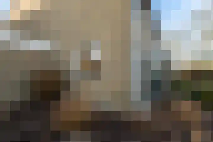 Tasveld 25 IJsselstein thumbnail 6