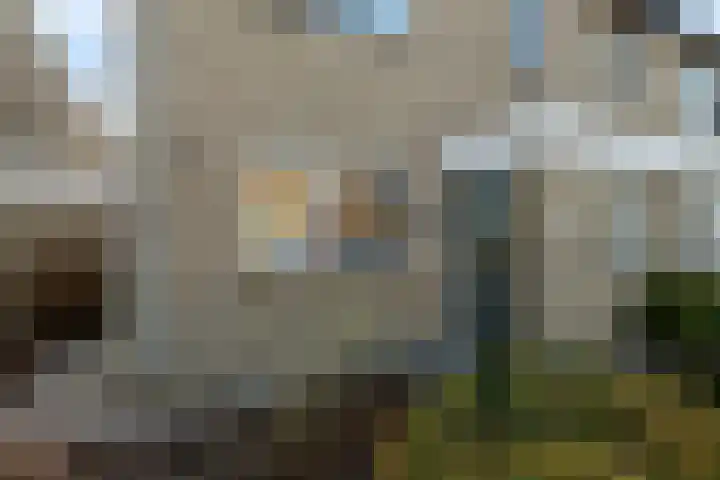 Tasveld 25 IJsselstein thumbnail 7