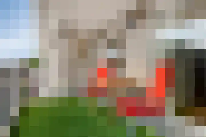 Tasveld 27 Veldhoven thumbnail 21