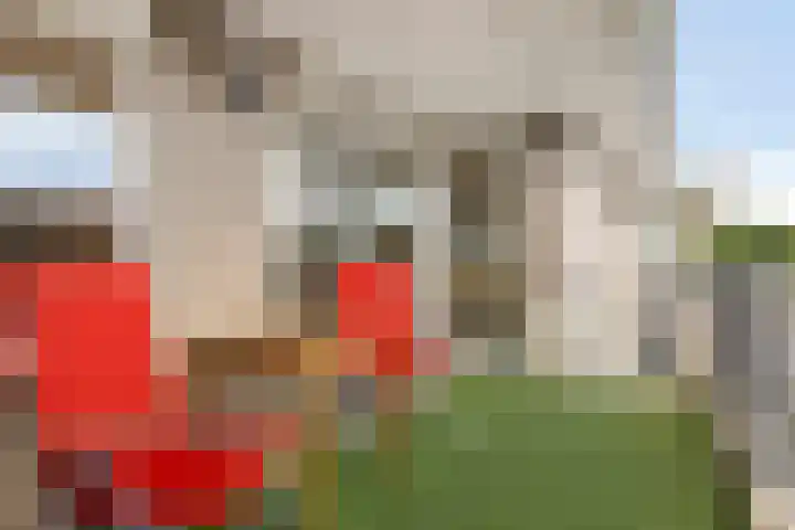 Tasveld 27 Veldhoven thumbnail 22