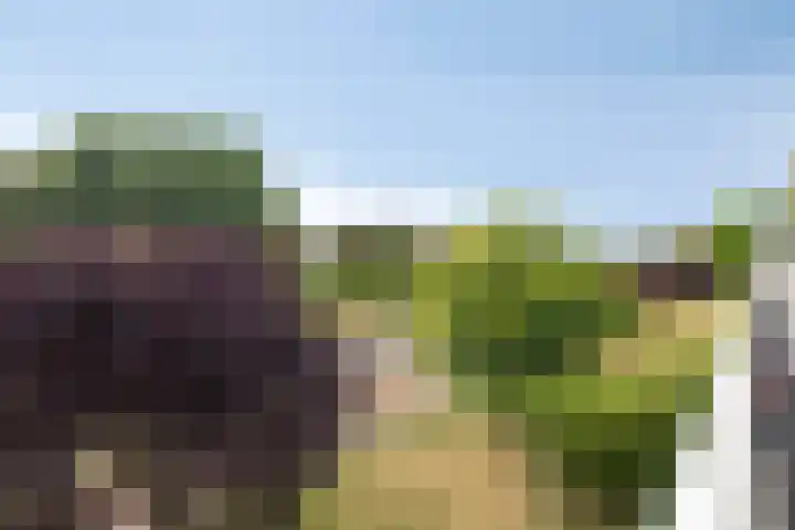 Tasveld 27 Veldhoven thumbnail 23