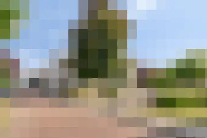 Tasveld 27 Veldhoven thumbnail 25