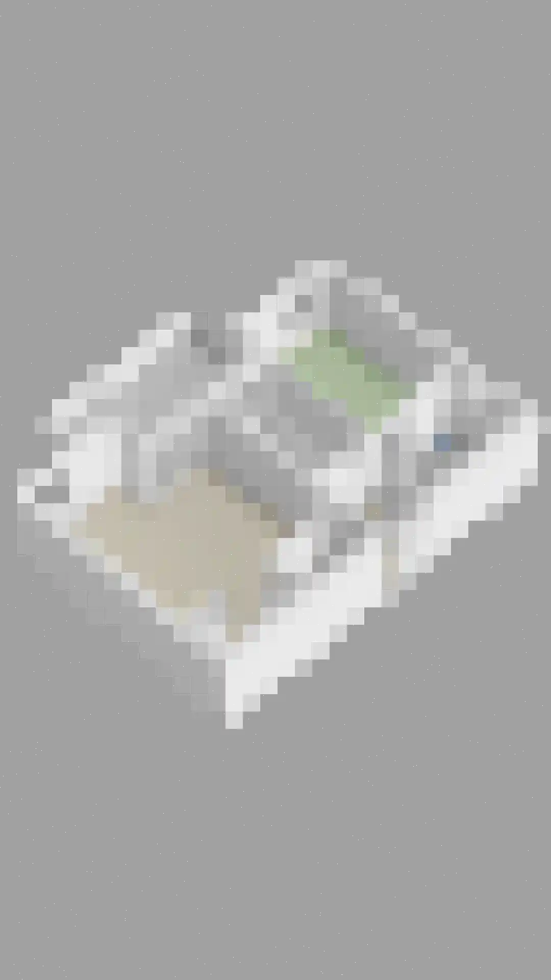 Tasveld 33 Veldhoven thumbnail 48