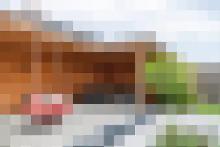 Tasveld 37 Druten thumbnail 34