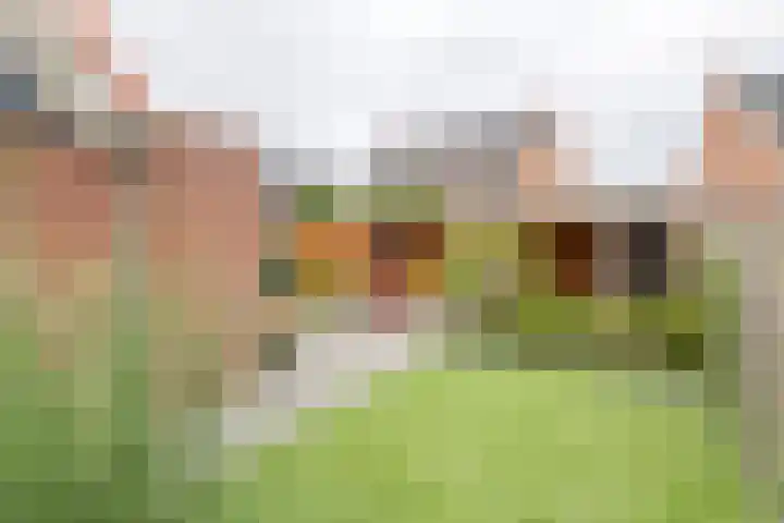 Tasveld 37 Druten thumbnail 39