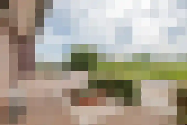 Tasveld 37 Druten thumbnail 42