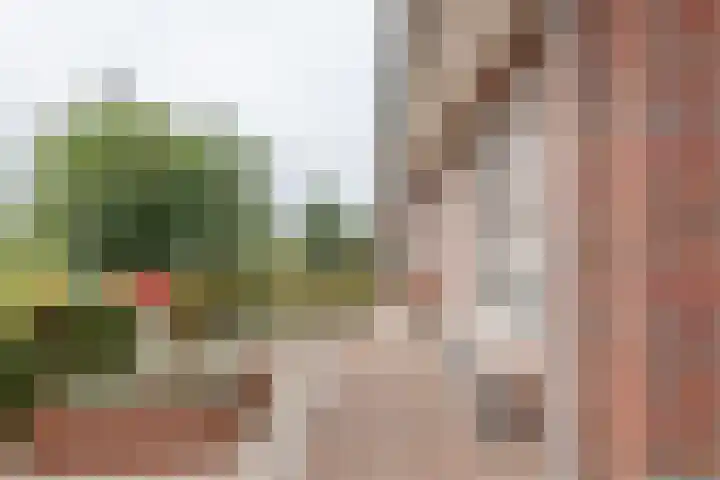 Tasveld 37 Druten thumbnail 43