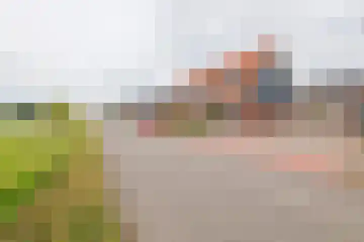 Tasveld 37 Druten thumbnail 45