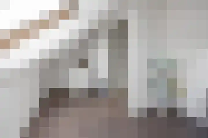 Tasveld 39 Druten thumbnail 36