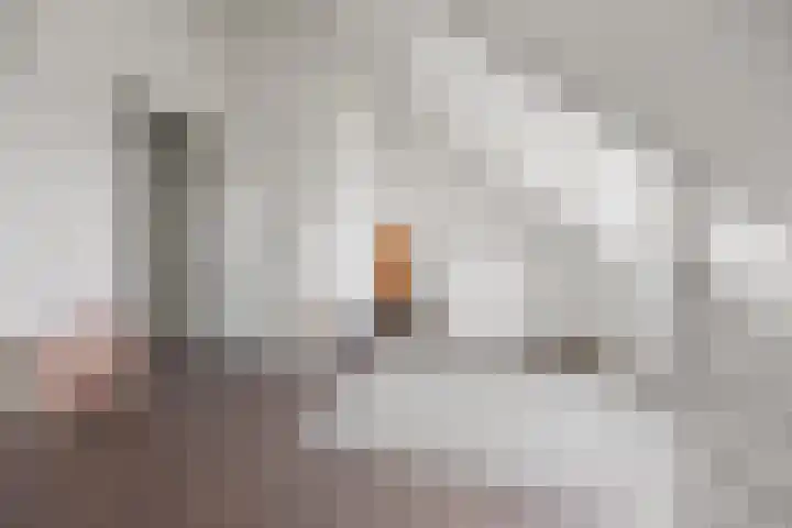 Tasveld 39 Druten thumbnail 38