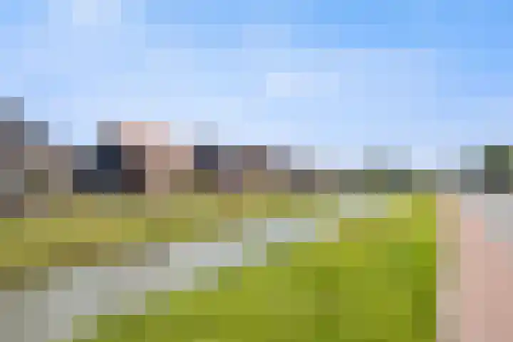 Tasveld 39 Druten thumbnail 50