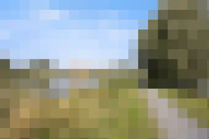 Tasveld 39 Druten thumbnail 51