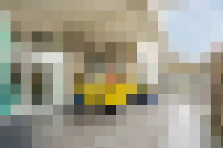 Tasveld 43 Veldhoven thumbnail 28