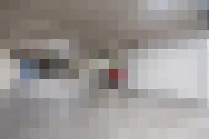 Tasveld 43 Veldhoven thumbnail 32